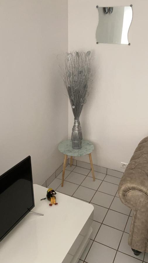 Appartement Saulcy Saulcy-sur-Meurthe Exterior foto